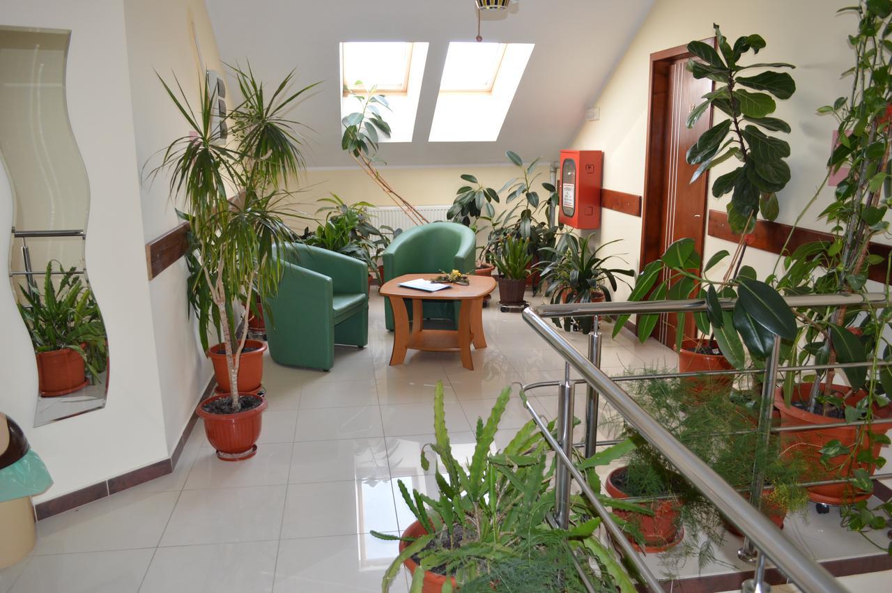 Hotel Martisorul Kaczyka Zewnętrze zdjęcie